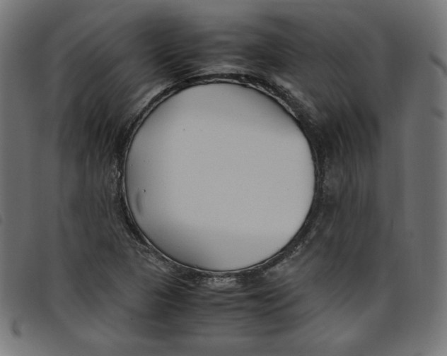 X0000098101313200804251355