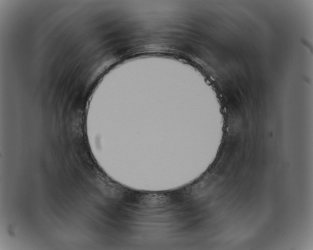 X0000098101314200804251355