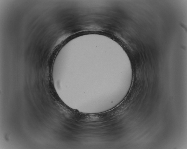 X0000098101315200804251355