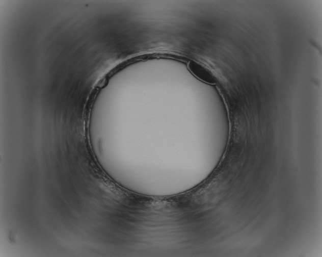 X0000098101316200804251355