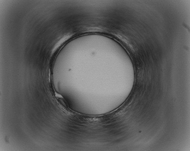 X0000098101317200804251355
