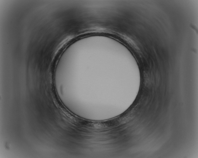X0000098101318200804251355