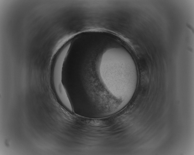 X0000098101319200804251355