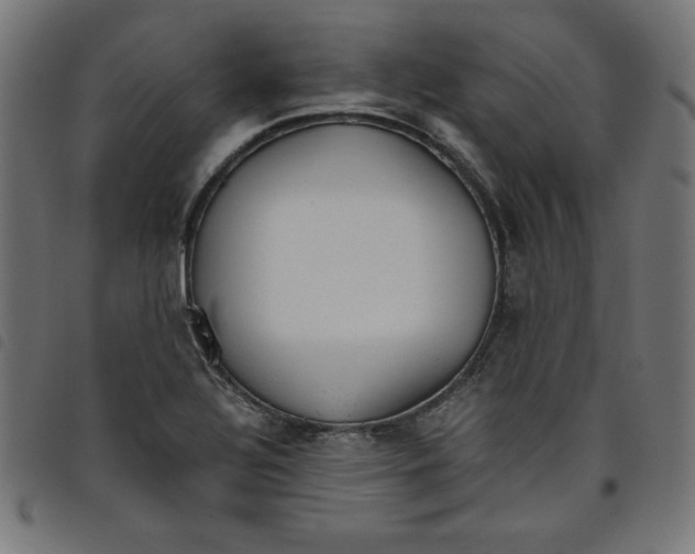X0000098101320200804251355