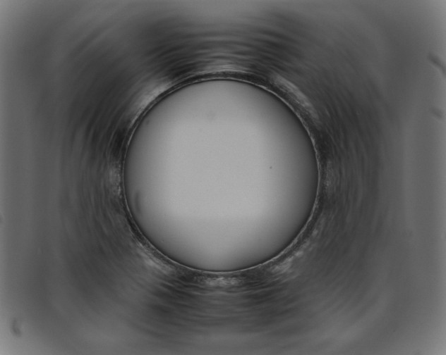 X0000098101321200804251355