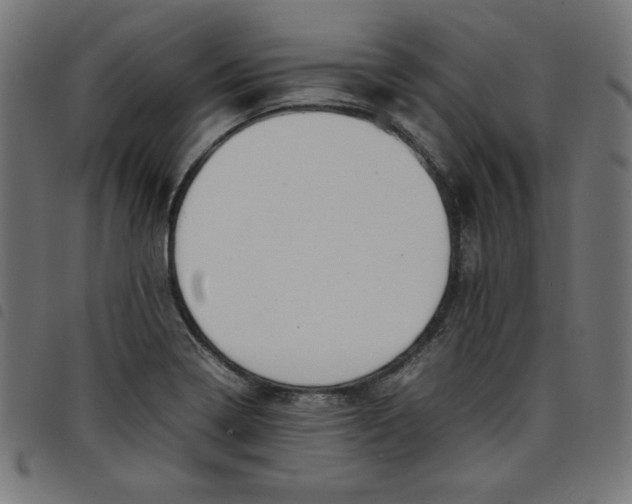 X0000098101322200804251355