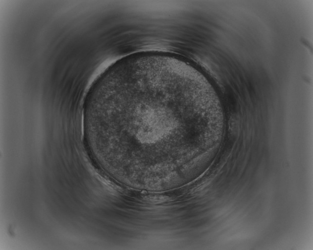 X0000098101323200804251355