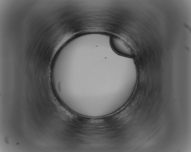 X0000098101325200804251355
