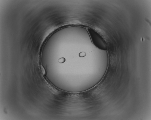 X0000098101326200804251355