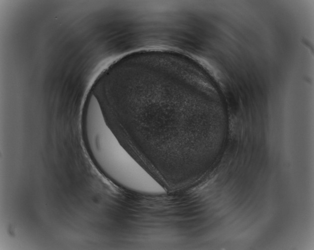 X0000098101327200804251355