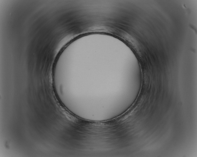X0000098101328200804251355