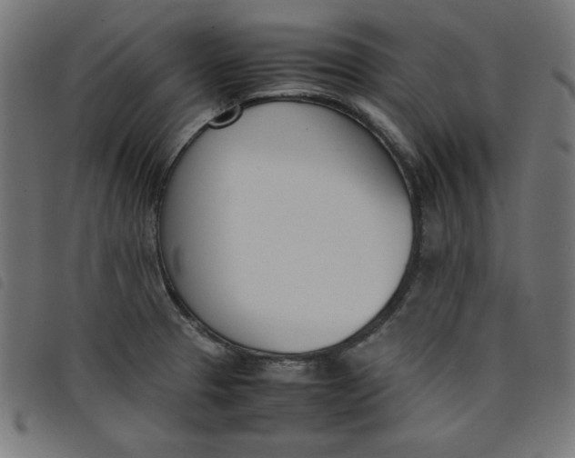 X0000098101329200804251355