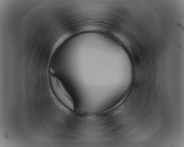 X0000098101330200804251355