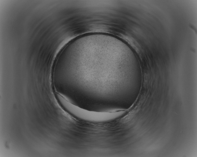 X0000098101331200804251355