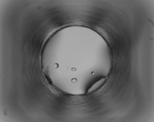 X0000098101332200804251355