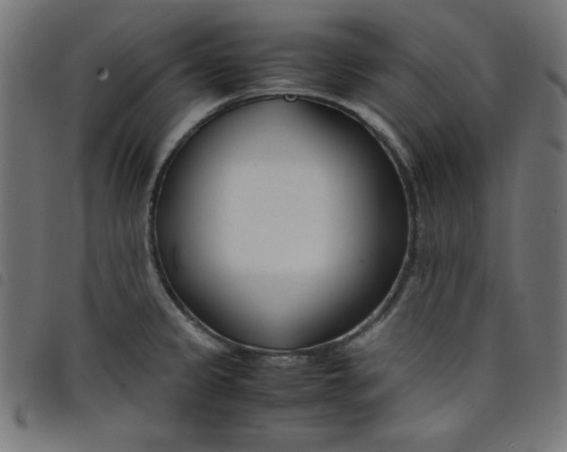 X0000098101333200804251355