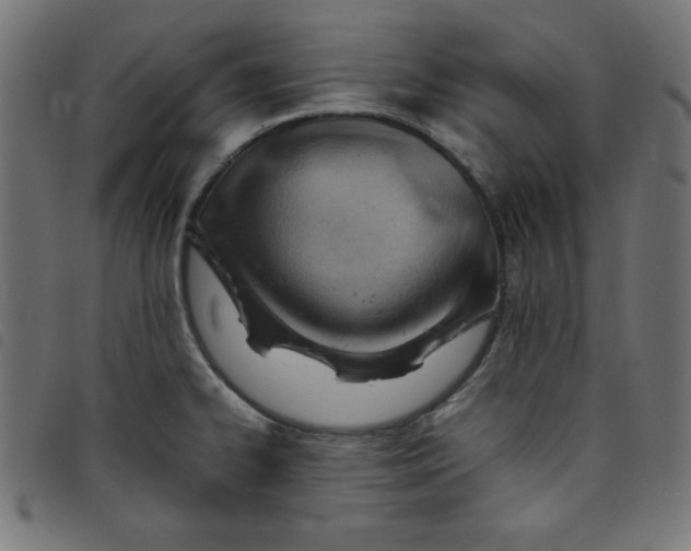 X0000098101334200804251355