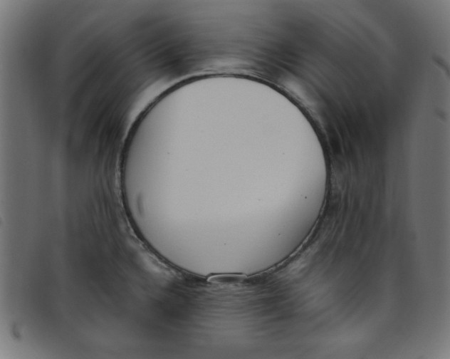 X0000098101336200804251355