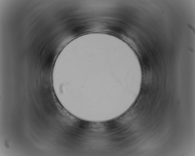 X0000098101338200804251355