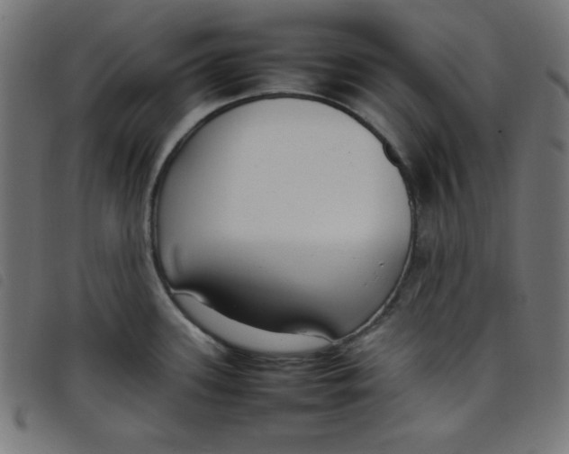 X0000098101339200804251355