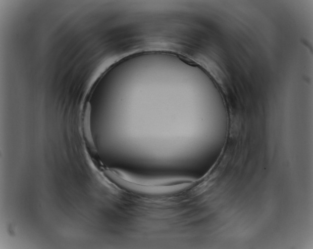 X0000098101342200804251355
