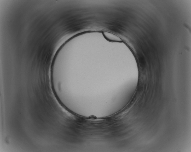 X0000098101343200804251355