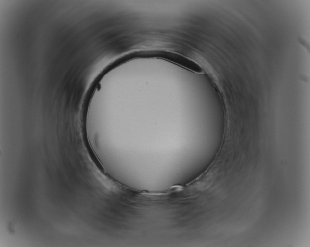 X0000098101344200804251355