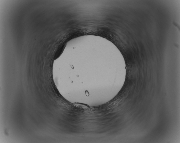 X0000098101345200804251355
