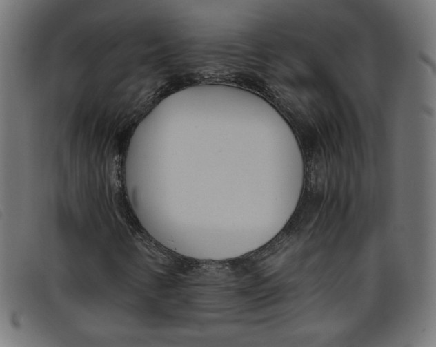 X0000098101346200804251355