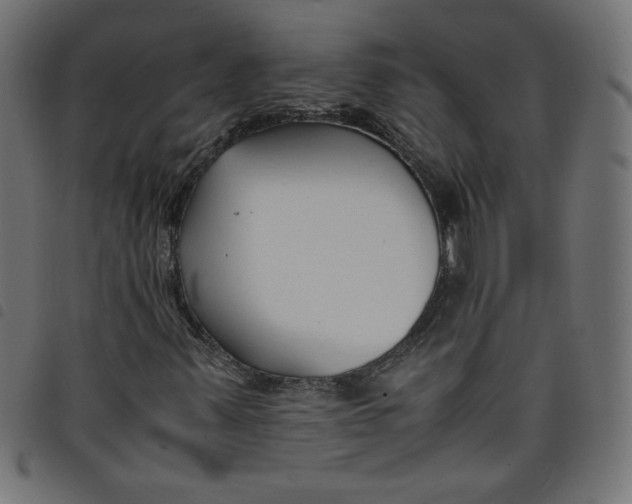 X0000098101347200804251355