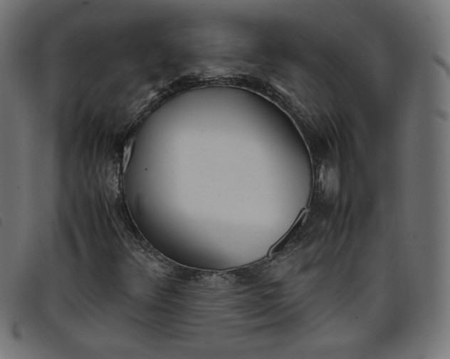X0000098101348200804251355