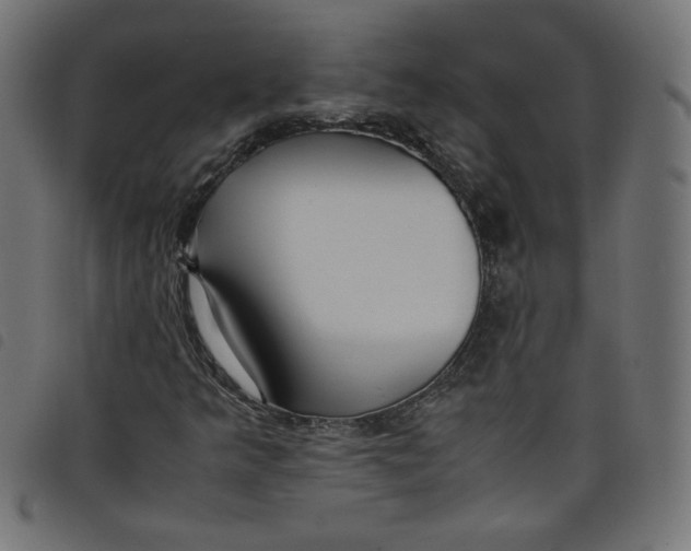 X0000098101349200804251355