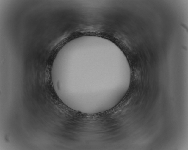 X0000098101350200804251355
