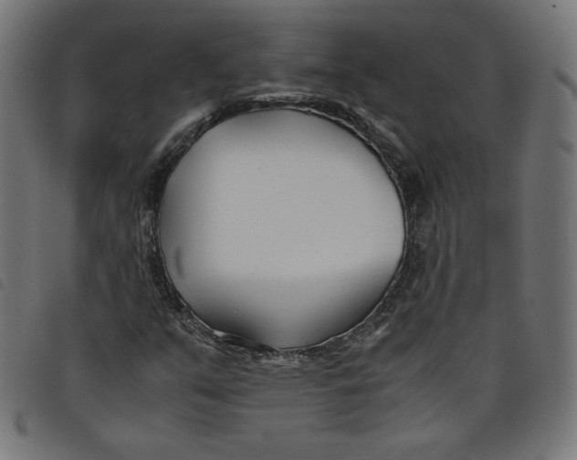 X0000098101351200804251355