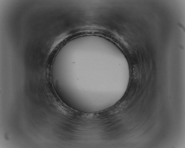 X0000098101352200804251355