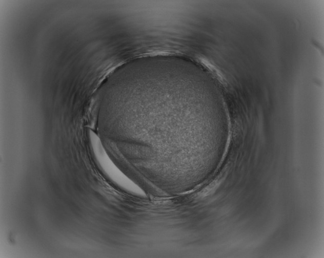 X0000098101353200804251355