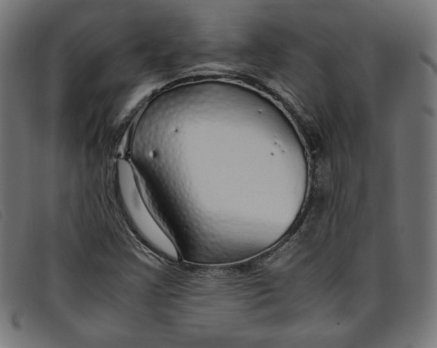 X0000098101355200804251355