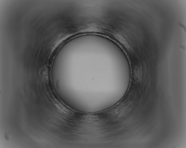 X0000098101356200804251355