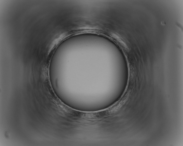X0000098101357200804251355