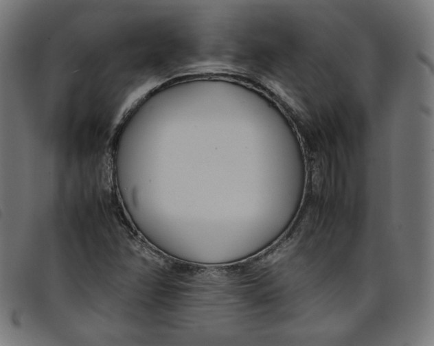 X0000098101358200804251355