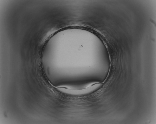 X0000098101359200804251355