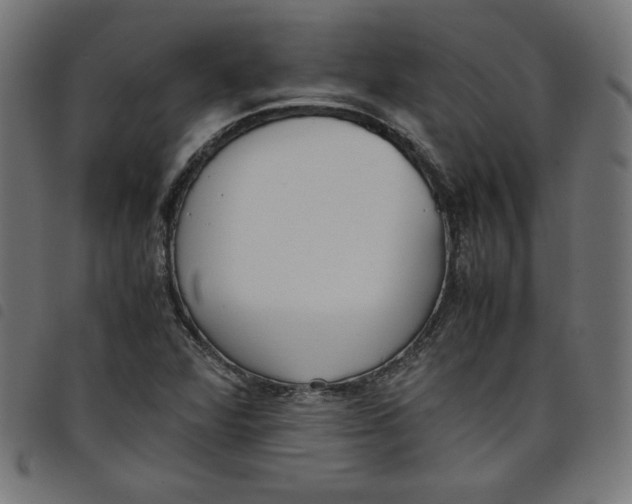 X0000098101360200804251355