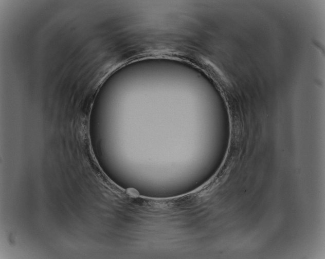 X0000098101361200804251354