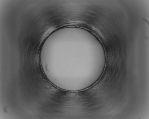 X0000098101362200804251354