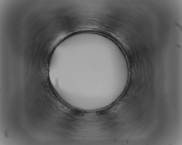 X0000098101363200804251354