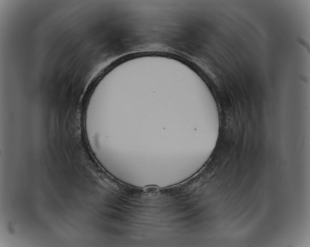 X0000098101364200804251354