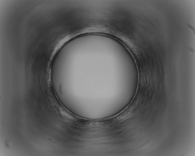 X0000098101366200804251354
