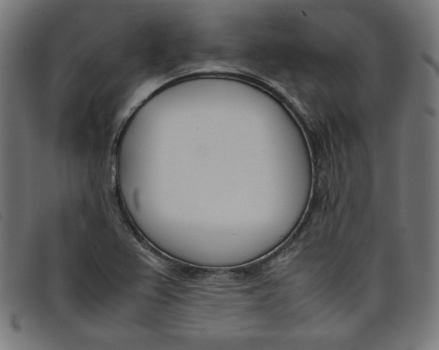 X0000098101367200804251354