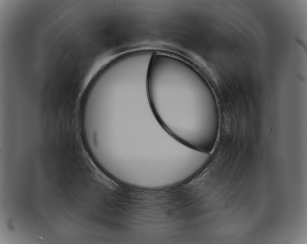 X0000098101368200804251354