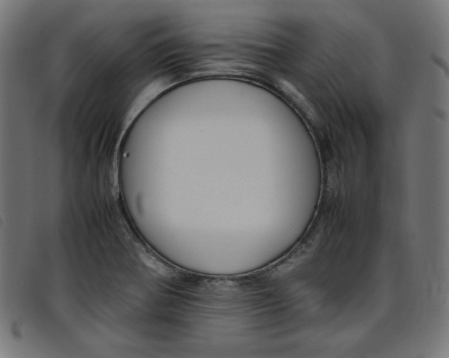 X0000098101370200804251354